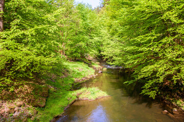 Fototapeta na wymiar The Kamenice river valley in the Bohemian Switzerland National Park.