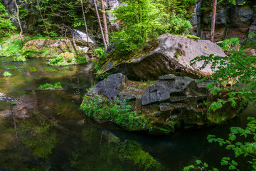 Stones in the river Kamenice in the National Park Bohemian Switzerland.