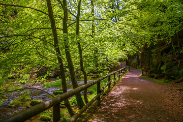 Road along the river in the Czech Switzerland National Park.