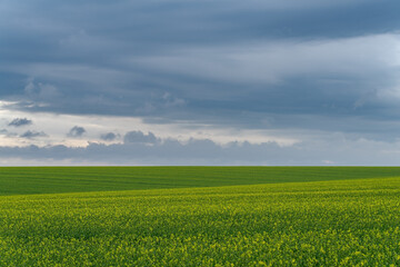 Agricultural landscape Podilia region, South-Western Ukraine