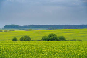 Spring agricultural landscape, Podilski Tovtry nature reserve, Podilia region, South-Western Ukraine