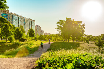 Green city park with paths and trees at sunset in Saint Petersburg