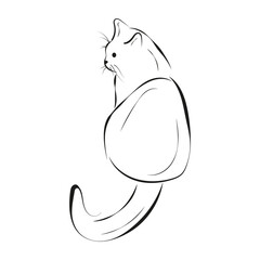 Hand drawn cat sketch, isolated on white 