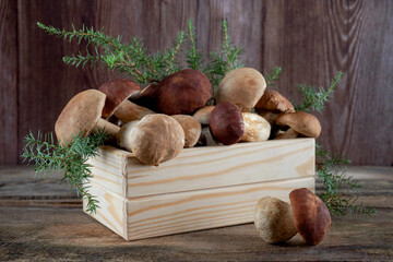 Fresh boletus mushrooms on a wooden background still life