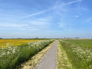 Path around Nijhuizum and a lake