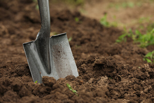 Shovel In Soil Outdoors, Space For Text. Gardening Tool