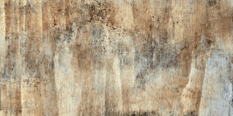 texture of wood background