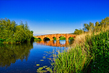 Fototapeta na wymiar Eckington Bridge spanning the River Avon in the English county of Worcestershire, England. Eckington Bridge is a grade II listed bridge that was erected in the 1720's using red sandstone.