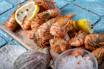 Greenlad shrimps and seashells from scallop close-up on textured blue background.