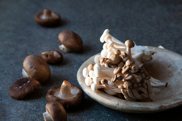 Bandeja de setas variadas sobre un plato de madera.
