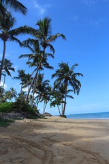 white sandy beaches on the island with coconut palms above the sea waves