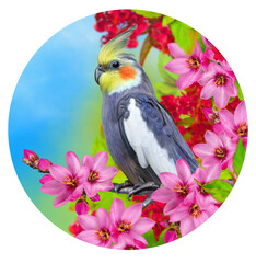 Summer, exotic, tropical background, gray parrot bird sitting on a branch, blooming pink roses, colorful flowers, sunny day, circle, round shape