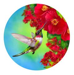 Summer, spring bright sunny background, a hummingbird bird flies, branches of a tree blooming with red, pink, white, tropical flowers, sky, circle, round shape