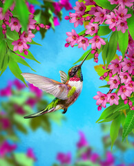 Summer, spring bright sunny background, a hummingbird bird flies, branches of a tree blooming with red, pink, white, tropical flowers, sky