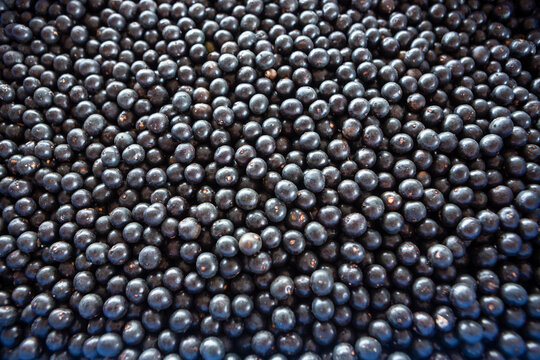 Closeup of fresh acai berry fruits in amazon rainforest, Brazil. Selective focus. Concept of food, ecology, environment, vitamin, healthy, biodiversity, background, pattern.