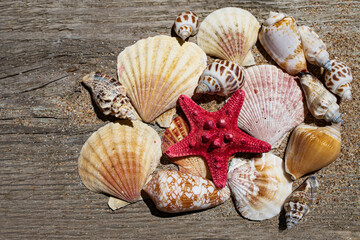 Summer marine composition of sand of starfish shells on a natural wooden background. Flat lay, place for text.