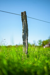 Old wooden pole with wire in countryside