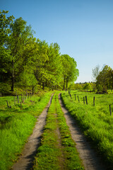 Fototapeta na wymiar Country side road in a green field