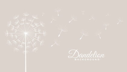 dandelion tea leaves flying seeds background