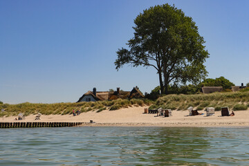 Entspanntes Strandleben in Ahrenshoop