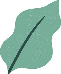 Hand drawn Leaf 