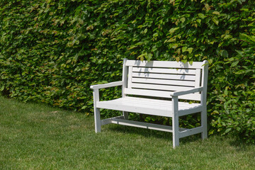 An empty white bench in the sun on a lawn in front of a high beech hedge