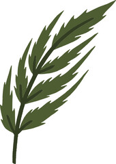 Hand drawn Leaves