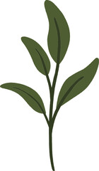 Hand drawn Leaves