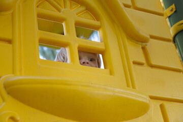 Child plays in the playground, looks out of the window