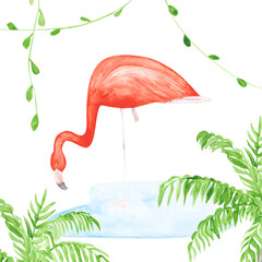 Watercolor flamingo, palms, and lianas on a white background. Hand-drawn pink tropical bird illustration. Cute print of exotic animal green plants. Colorful flamingo on one leg. Beautiful print.