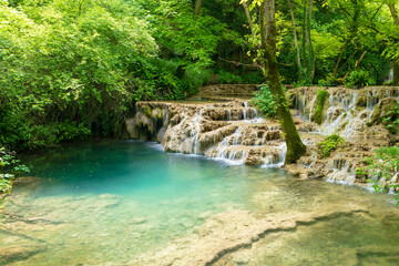 Naklejka premium waterfall in the forest