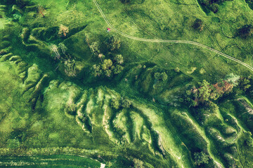 Green fields from above