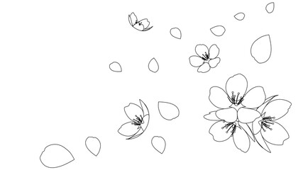 Sakura Frame froral spring natural