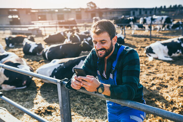 Happy young farmer standing in fornt of cows and looking at his phone. - 440276565