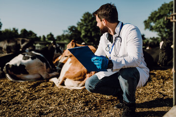 Young veterinarian working at the farm and takes analyzes.