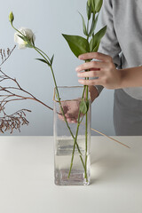 Cropped shot of a woman in with flowers and rectangular glass vase with ice texture and golden rim. The lady in gray clothes is making floral arrangement of white flower and dried brown twig. 