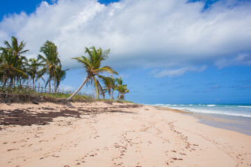 white sandy beaches on the island with coconut palms above the sea waves