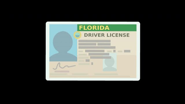 A hand presents a Florida driver's license with alpha channel (ONLY in 4K) (flat design)	