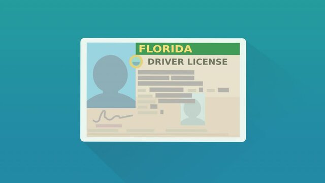 A hand presents a Florida driver's license on a blue background (flat design)	