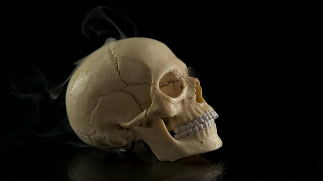 Head with smoke flowing. A view of a person skull with flowing smoke on the black background.