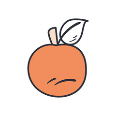 Isolated orange fruit