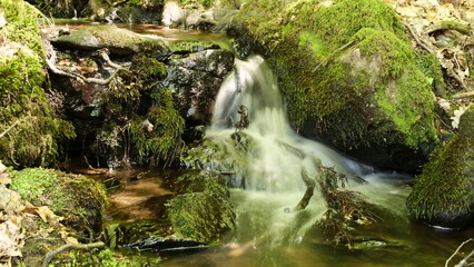 Peterswaldbach bei Britten