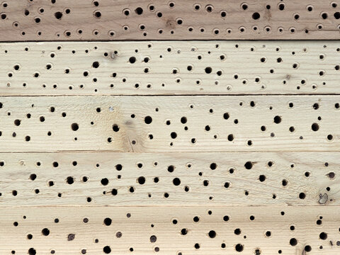 Insektenhotel aus Holzbalken