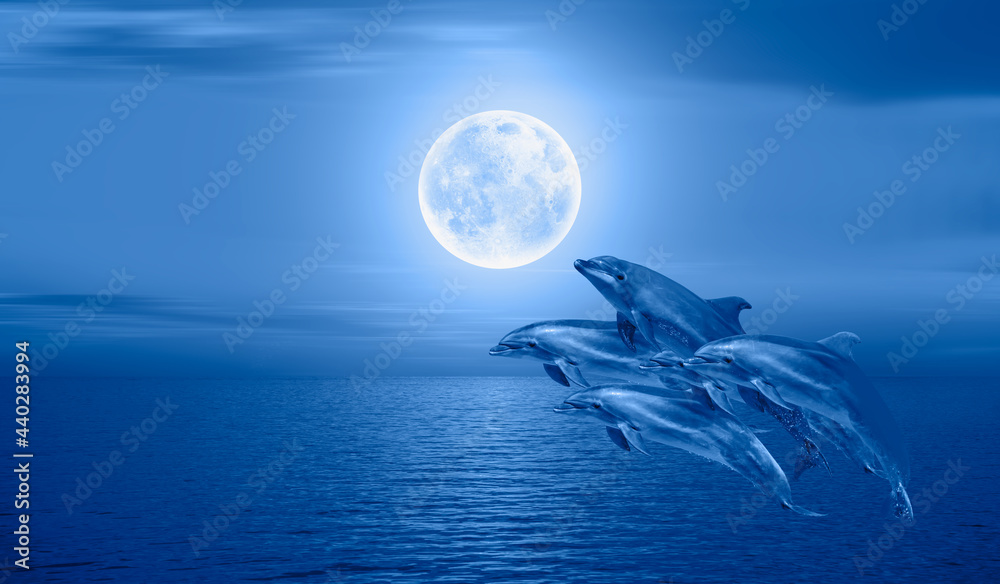 Poster night sky with new moon in the clouds - group of dolphins jumping out of the water 