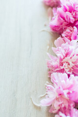 several branches of blooming pink peonies on a wooden table