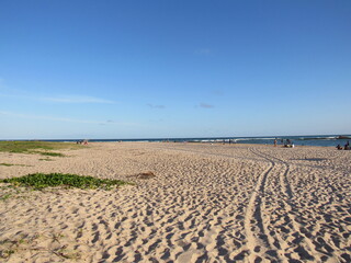 brasil brazil beach