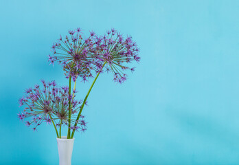 Persian onion flowers in a vase