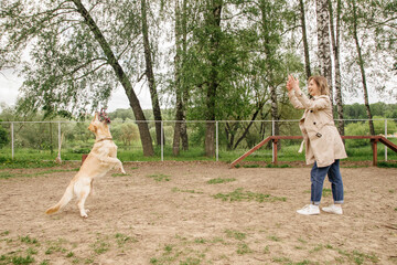 Obraz premium The girl the owner of the dog breed golden retriever plays with her on the playground for walking the dogs