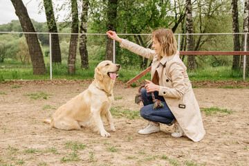 The girl the owner of the golden retriever dog trains her team to sit on the dog walking area