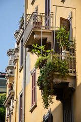 Fototapeta na wymiar Detail of a balcony full of plants and an old Milan style building. Via Paolo Sarpi. Chinatown. Italy 